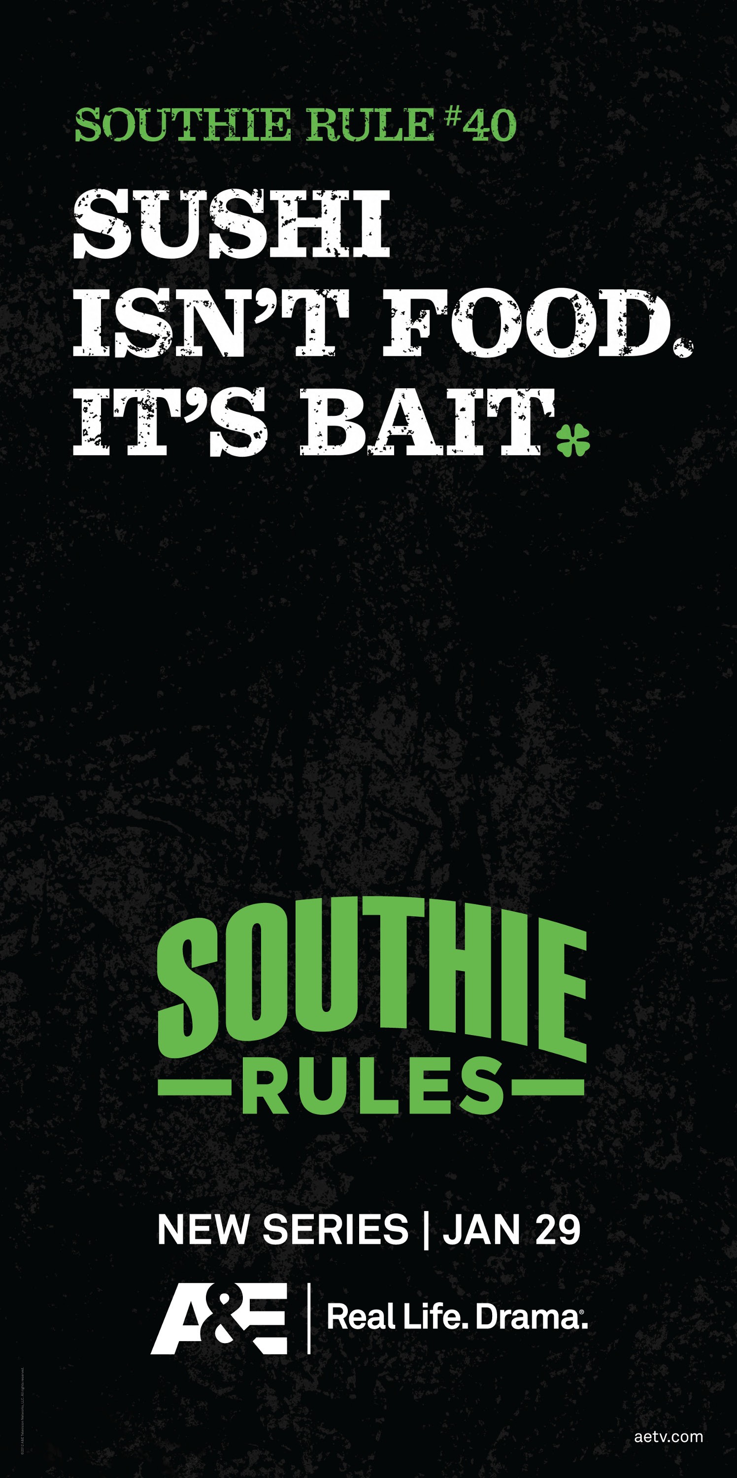 Mega Sized TV Poster Image for Southie Rules (#2 of 5)