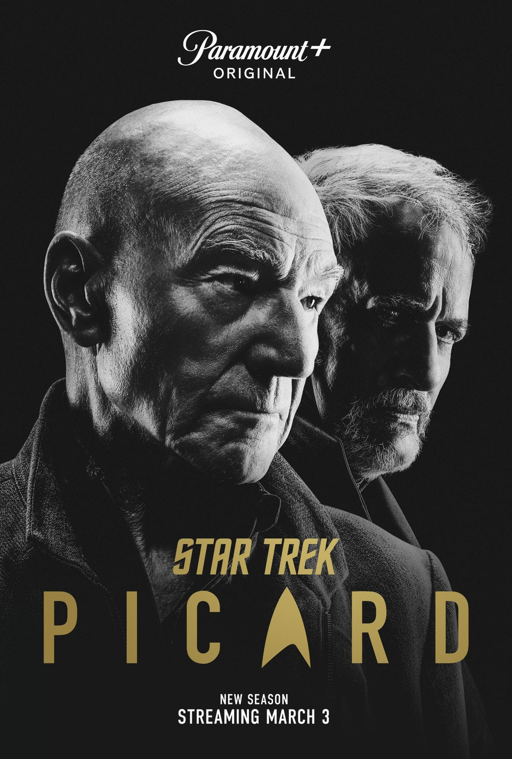 Extra Large TV Poster Image for Star Trek: Picard (#15 of 26)