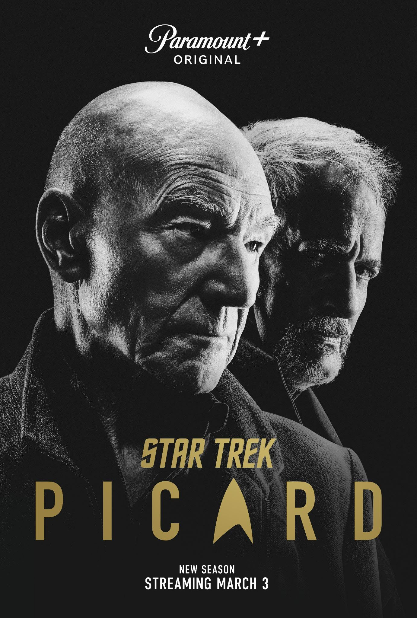 Mega Sized TV Poster Image for Star Trek: Picard (#15 of 26)