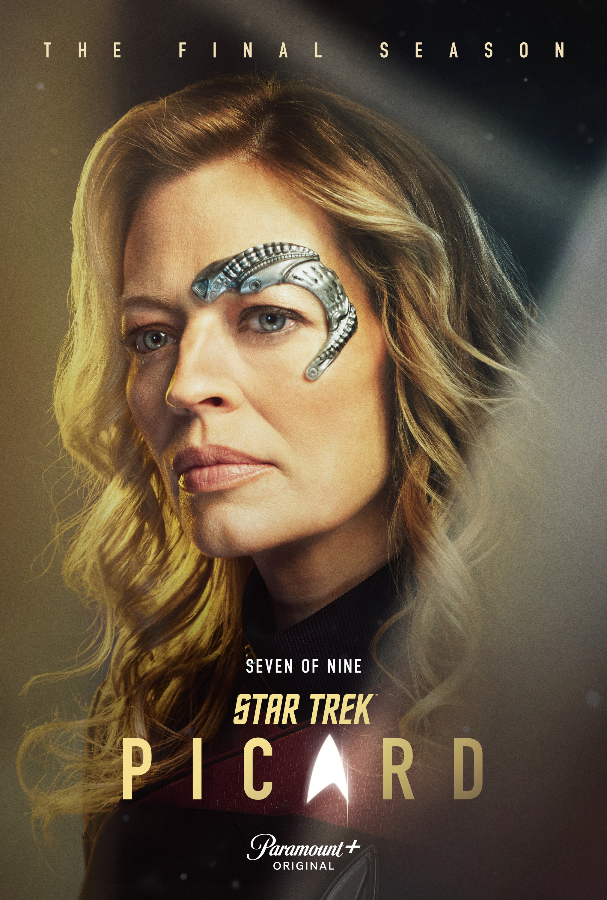 Mega Sized TV Poster Image for Star Trek: Picard (#19 of 26)