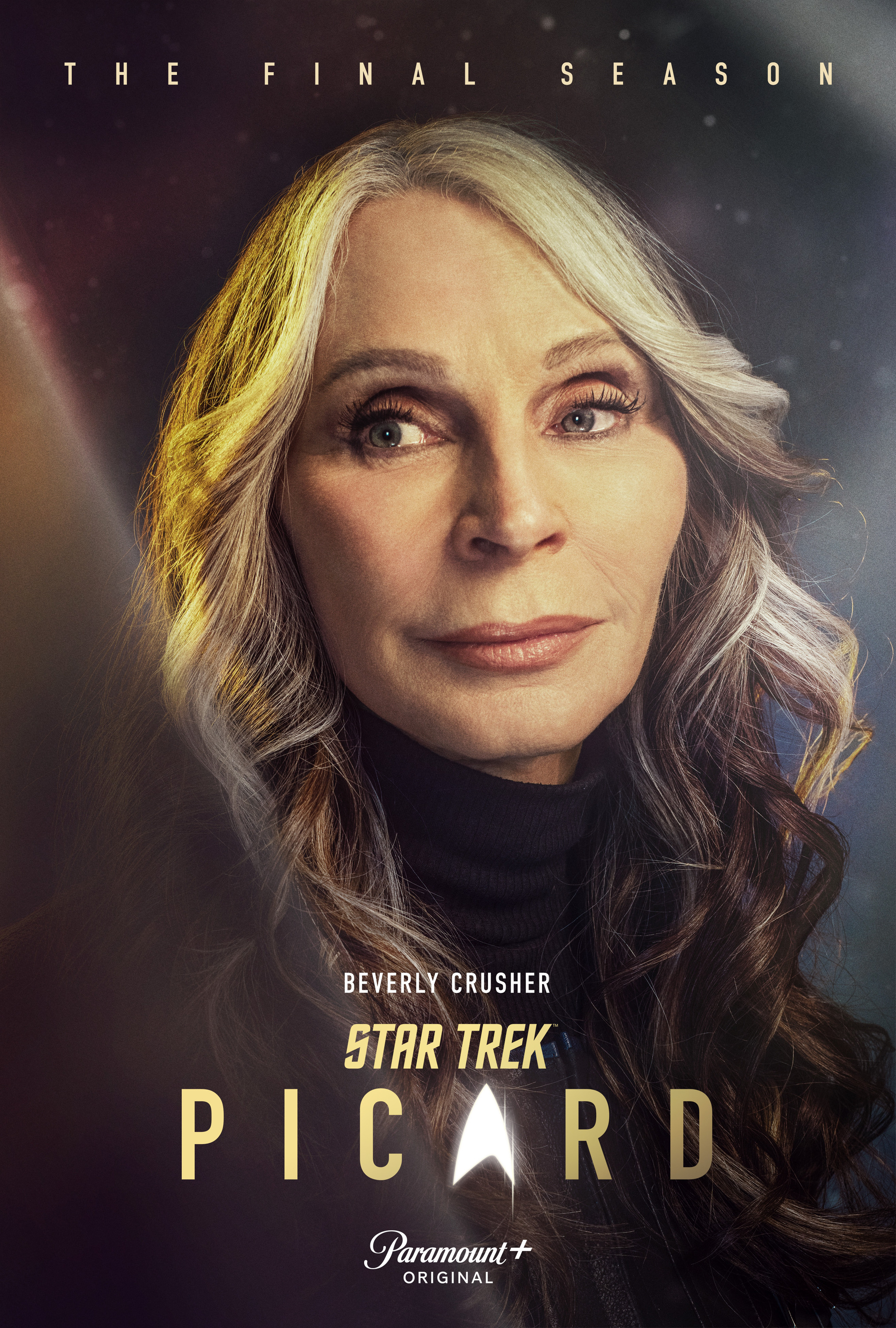 Mega Sized Movie Poster Image for Star Trek: Picard (#20 of 23)