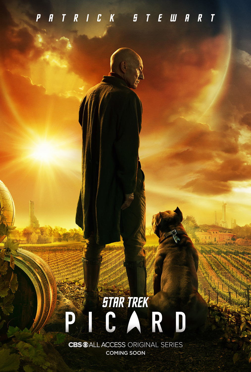 Extra Large TV Poster Image for Star Trek: Picard (#2 of 26)