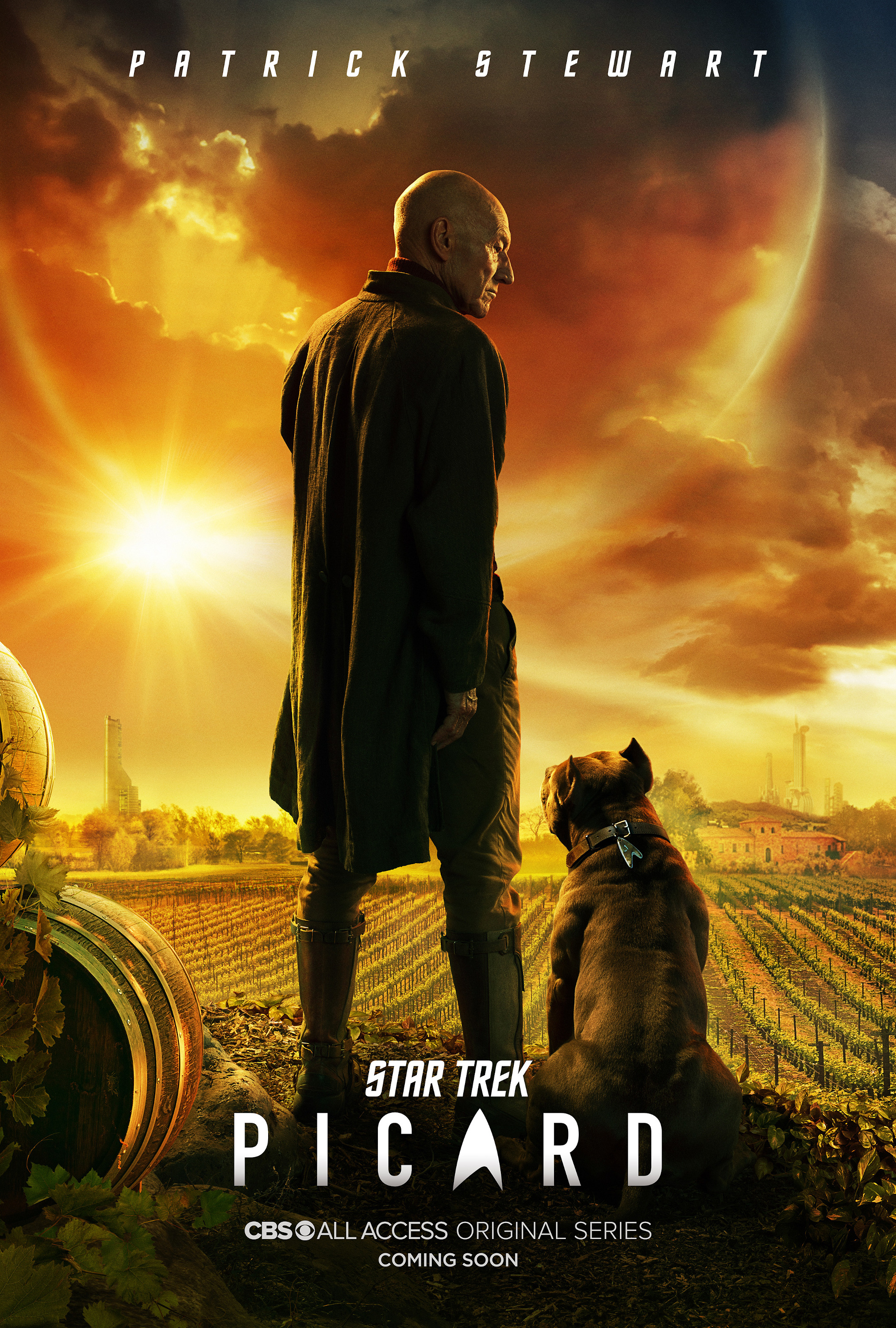 Mega Sized TV Poster Image for Star Trek: Picard (#2 of 26)
