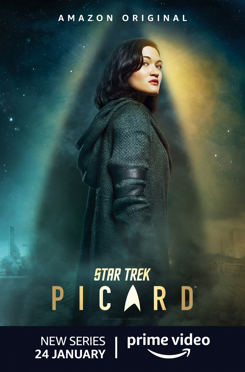 Extra Large TV Poster Image for Star Trek: Picard (#5 of 26)