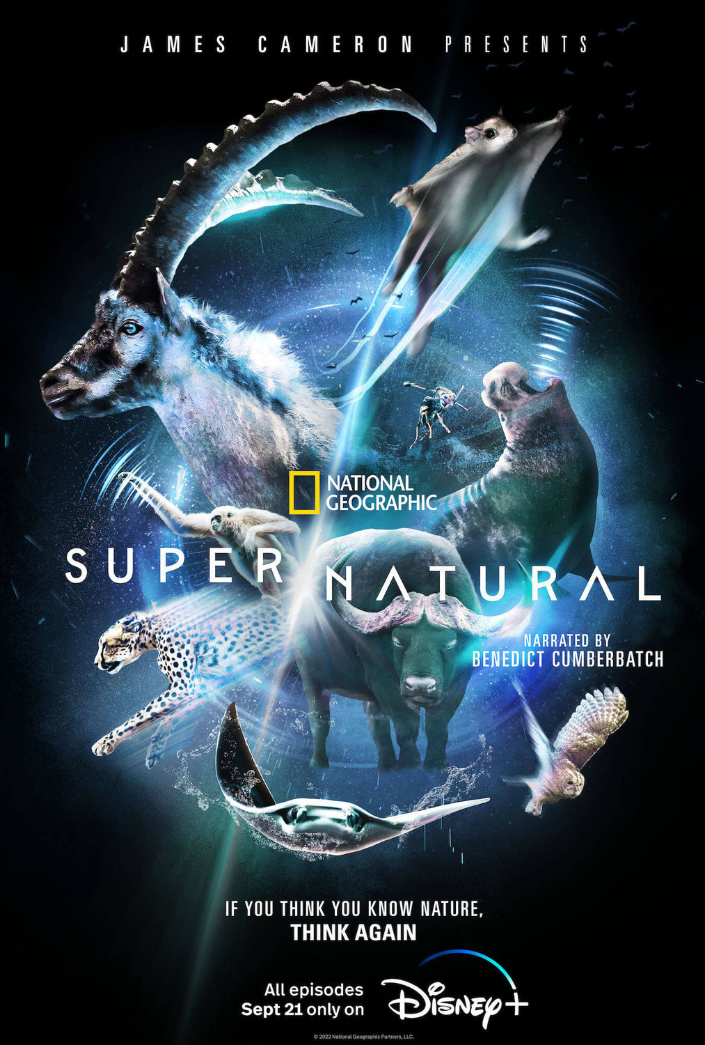 Extra Large TV Poster Image for Super/Natural 