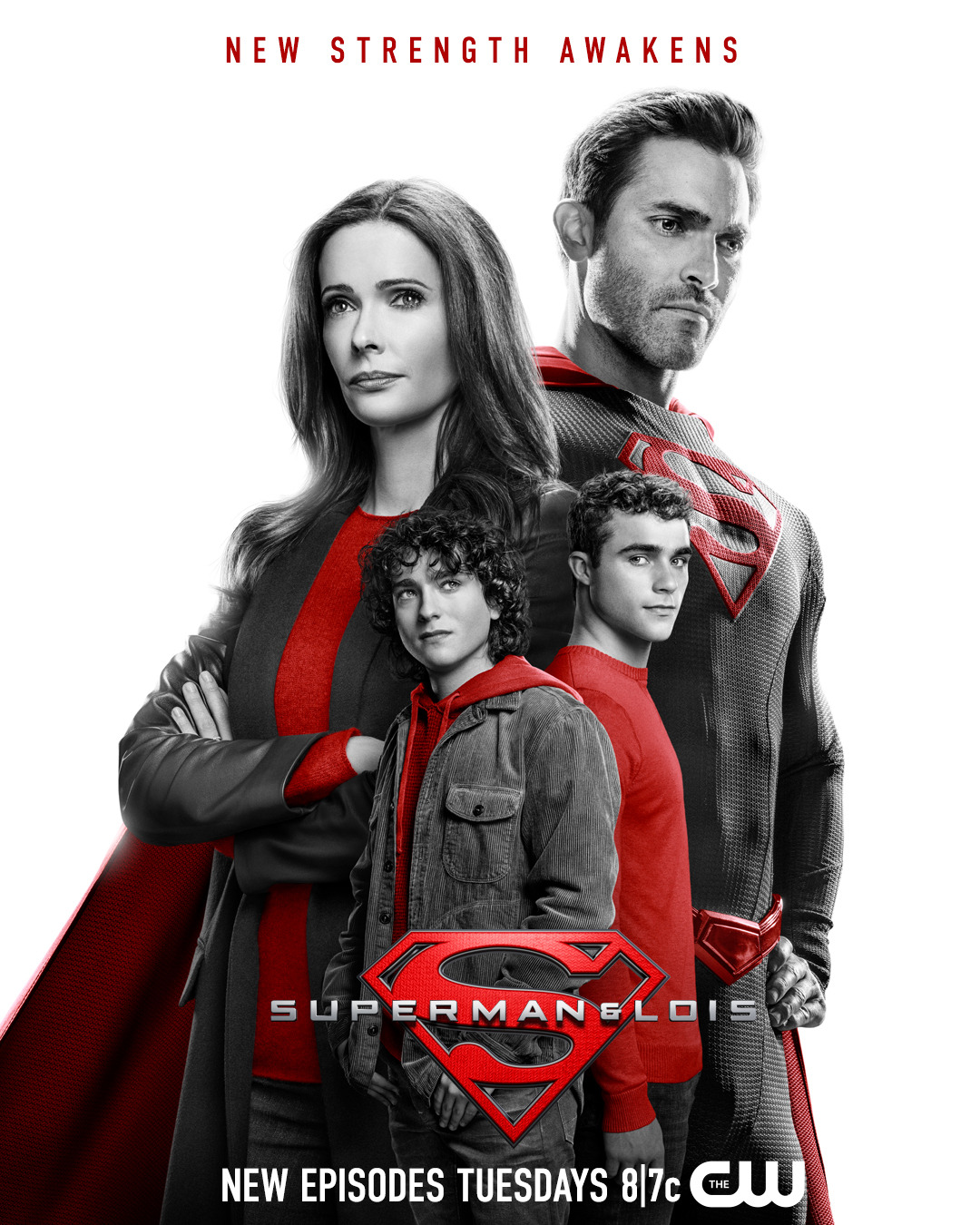 Extra Large TV Poster Image for Superman and Lois (#24 of 24)
