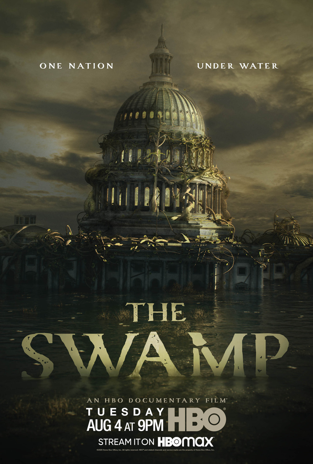 Extra Large TV Poster Image for The Swamp 