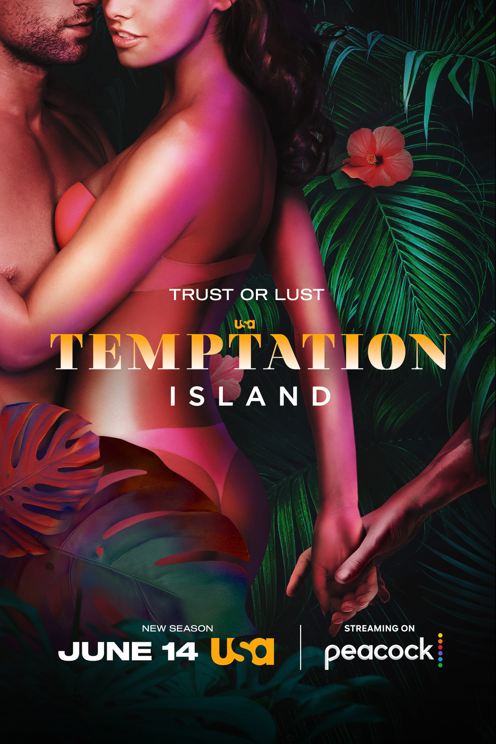 Extra Large TV Poster Image for Temptation Island (#2 of 2)
