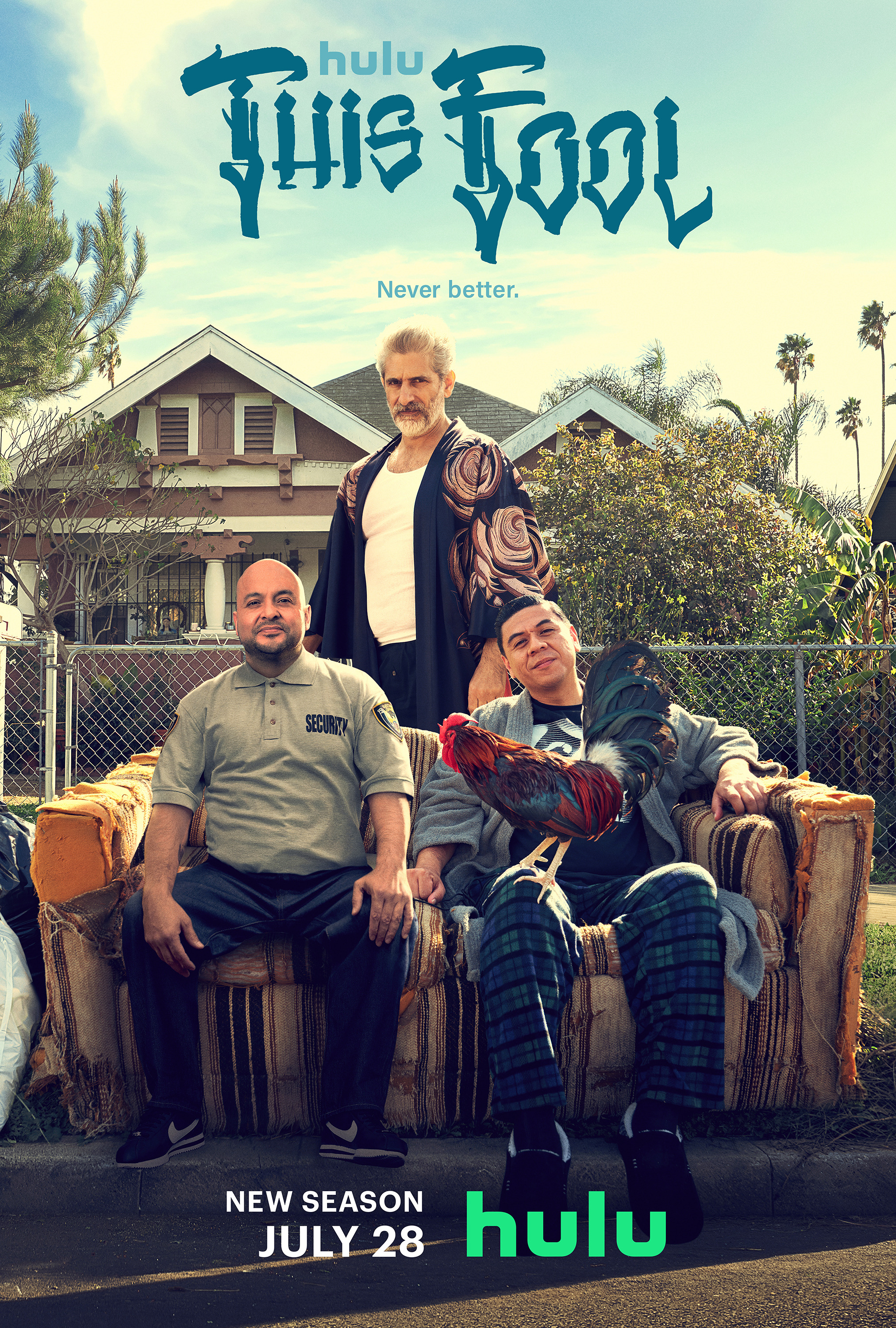 Mega Sized TV Poster Image for This Fool (#2 of 3)