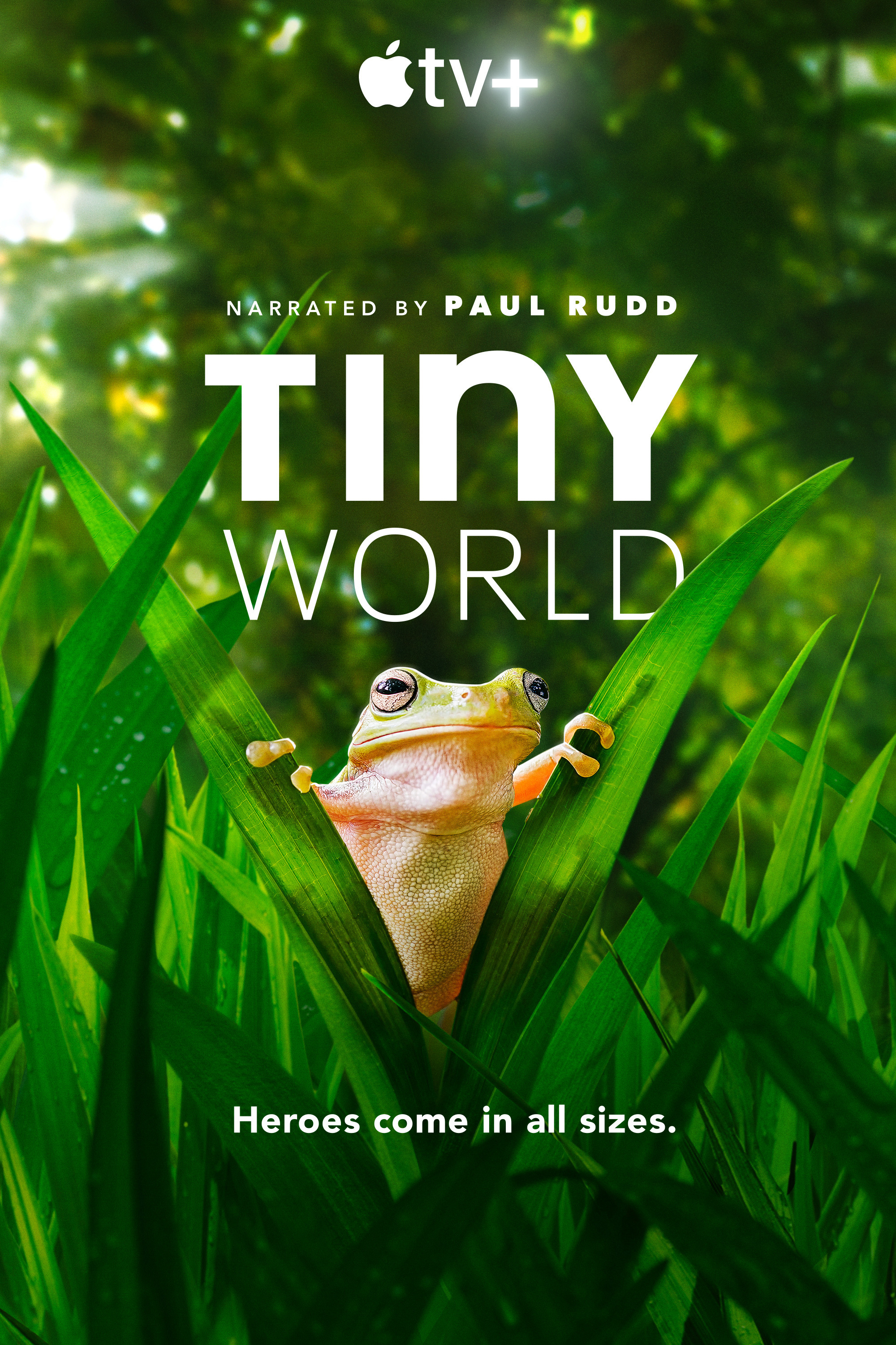 Mega Sized TV Poster Image for Tiny World (#2 of 2)