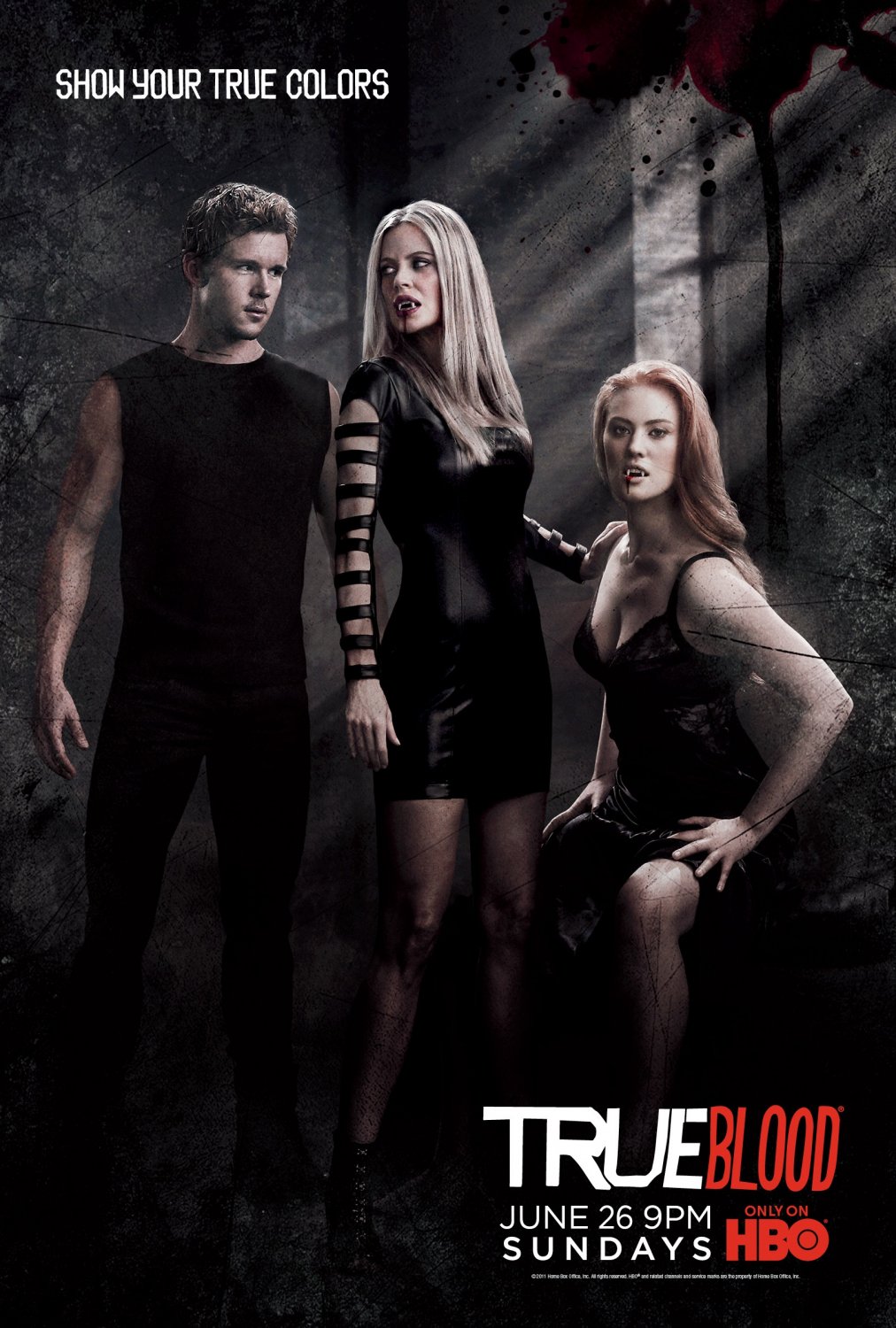 Extra Large Movie Poster Image for True Blood (#51 of 76)