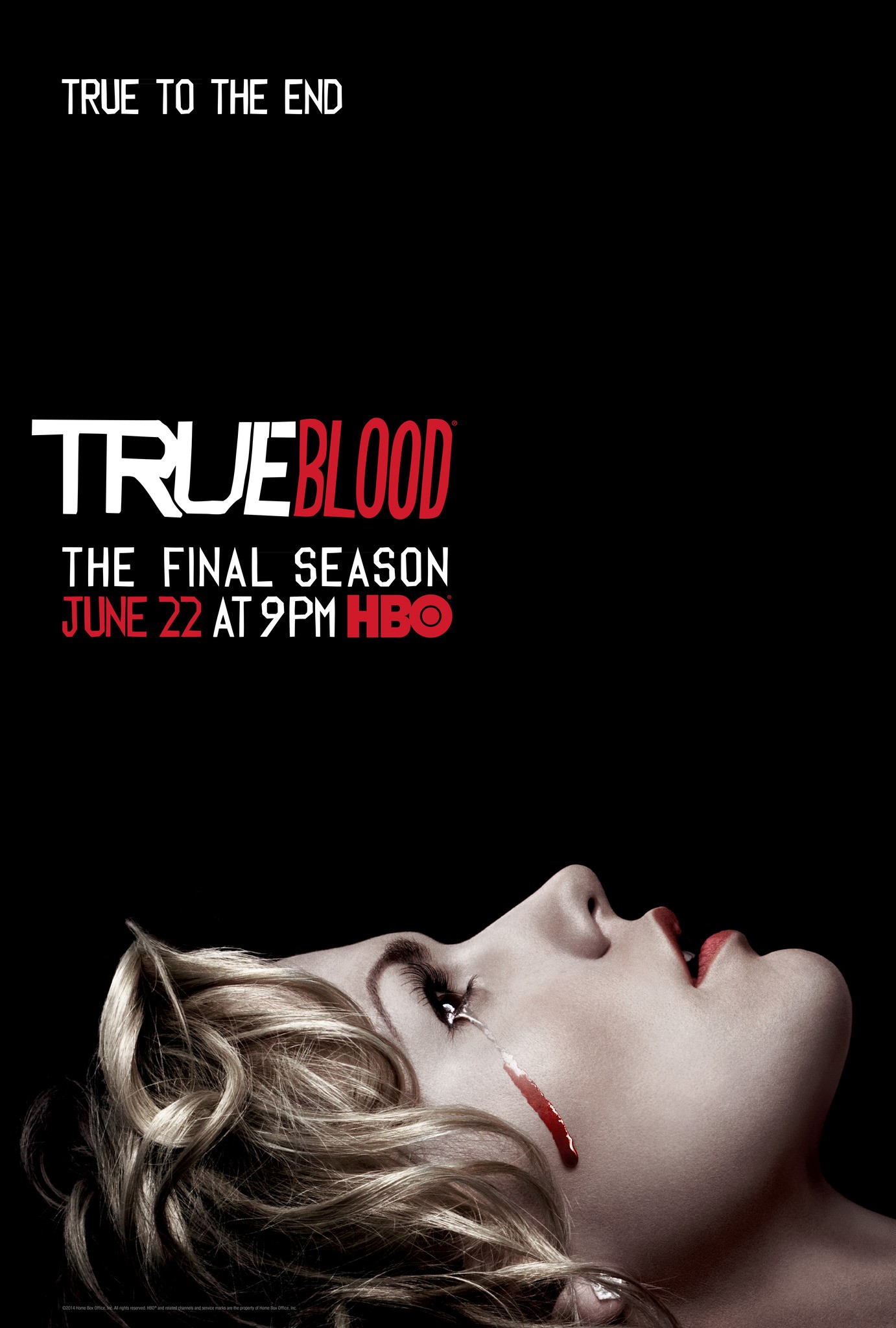 Mega Sized TV Poster Image for True Blood (#75 of 76)