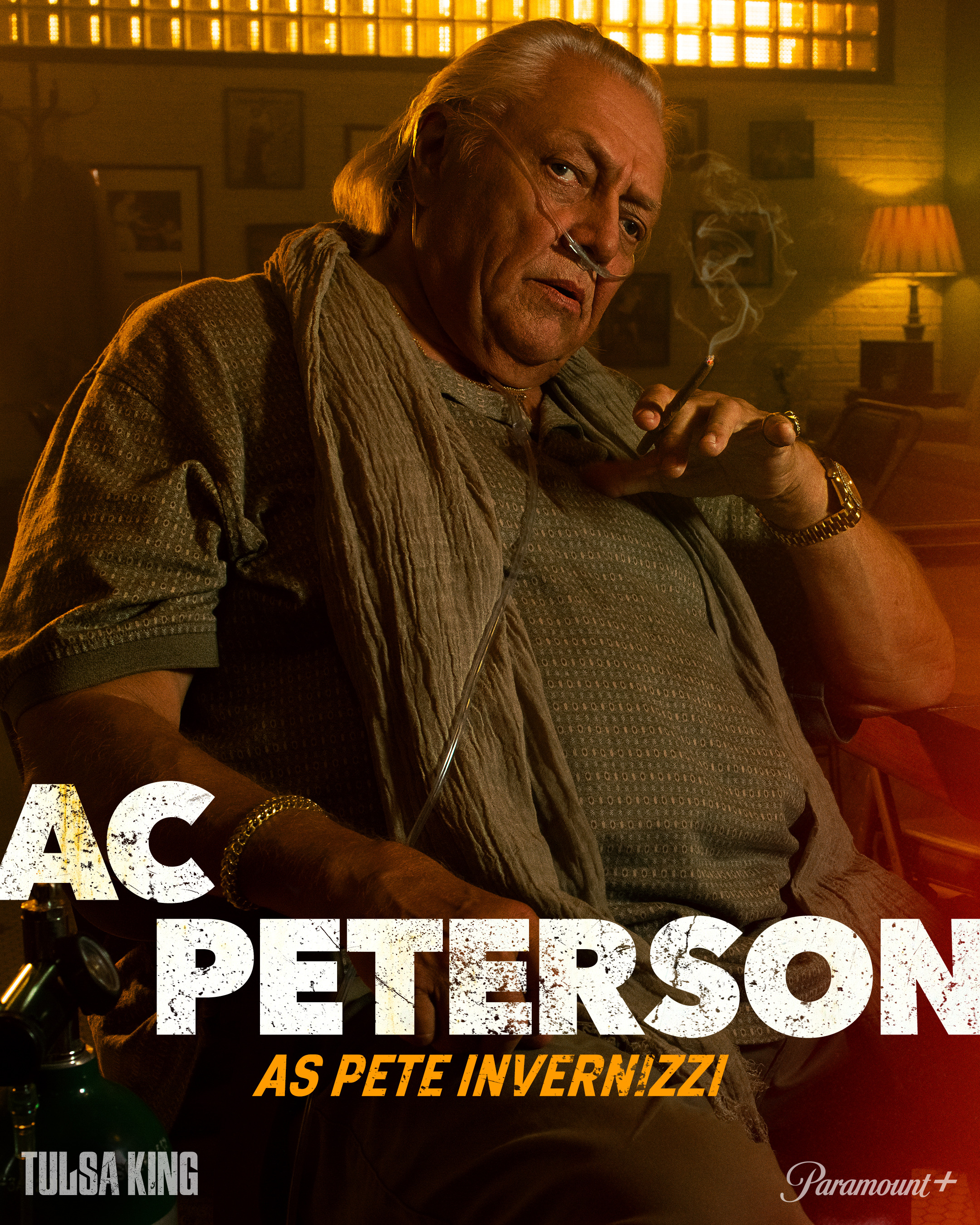 Mega Sized TV Poster Image for Tulsa King (#8 of 20)