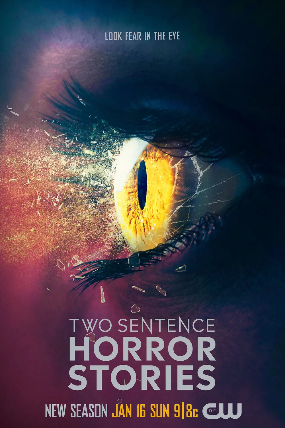Extra Large TV Poster Image for Two Sentence Horror Stories (#3 of 3)