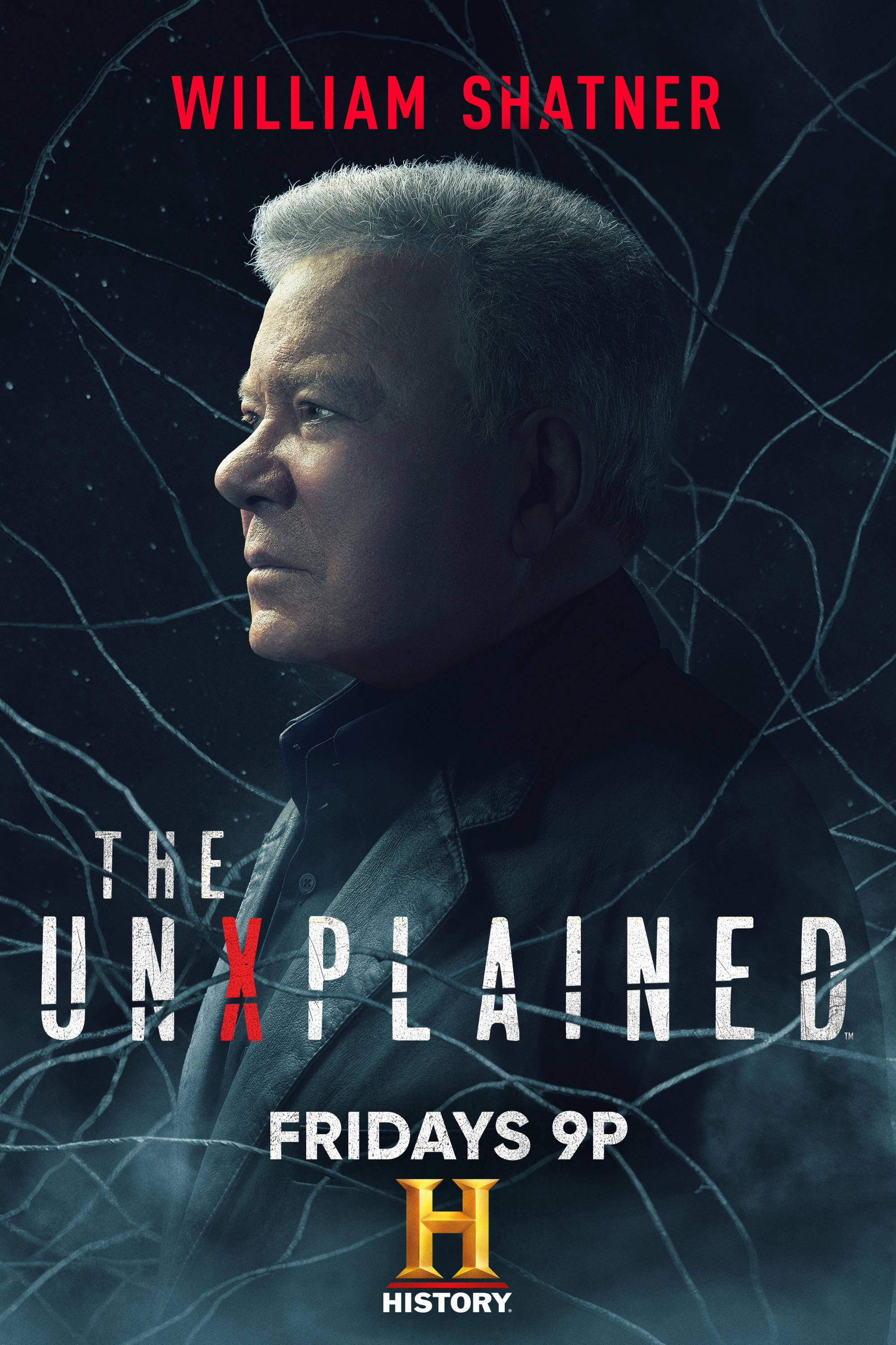 Mega Sized TV Poster Image for The UnXplained 