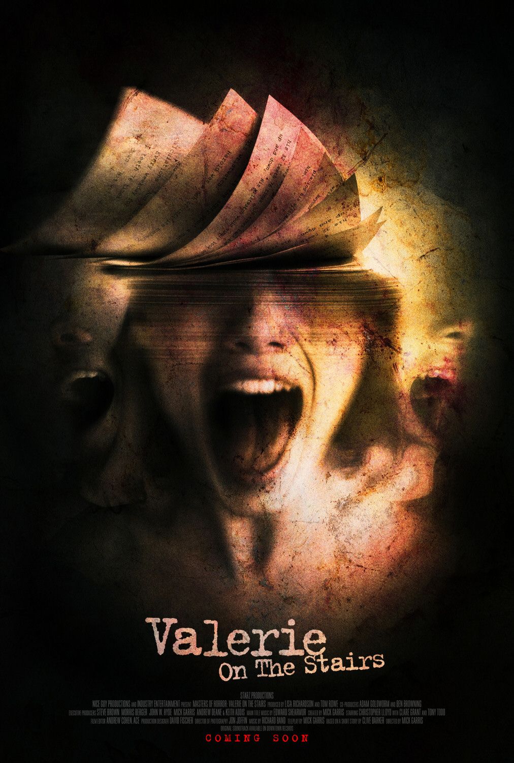 Extra Large TV Poster Image for Valerie on the Stairs 
