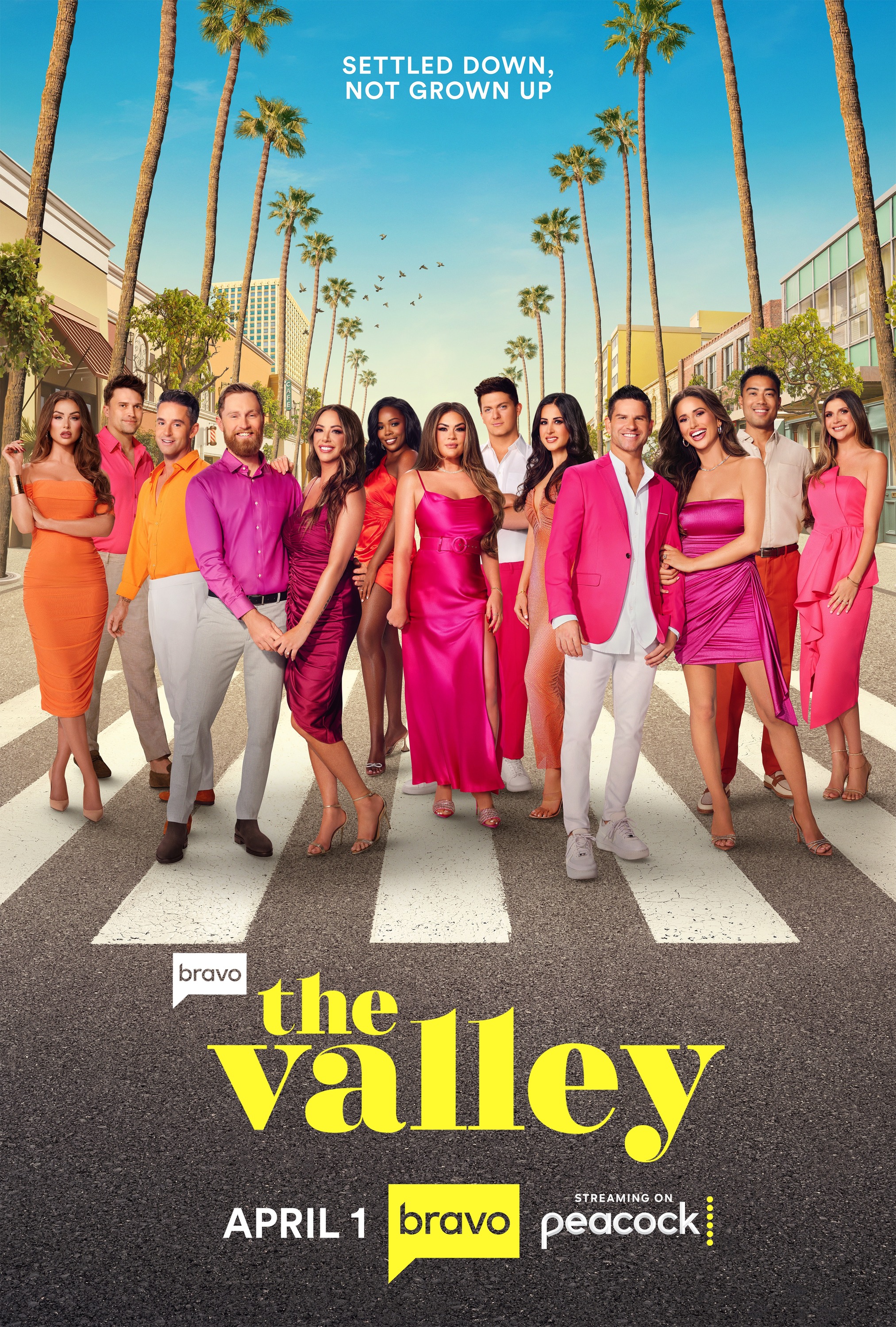 Mega Sized TV Poster Image for The Valley (#5 of 6)