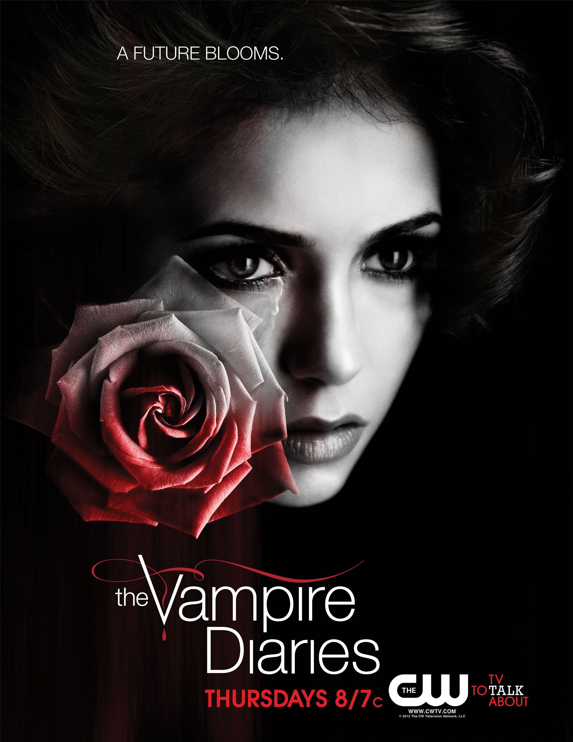 Mega Sized TV Poster Image for The Vampire Diaries (#23 of 61)