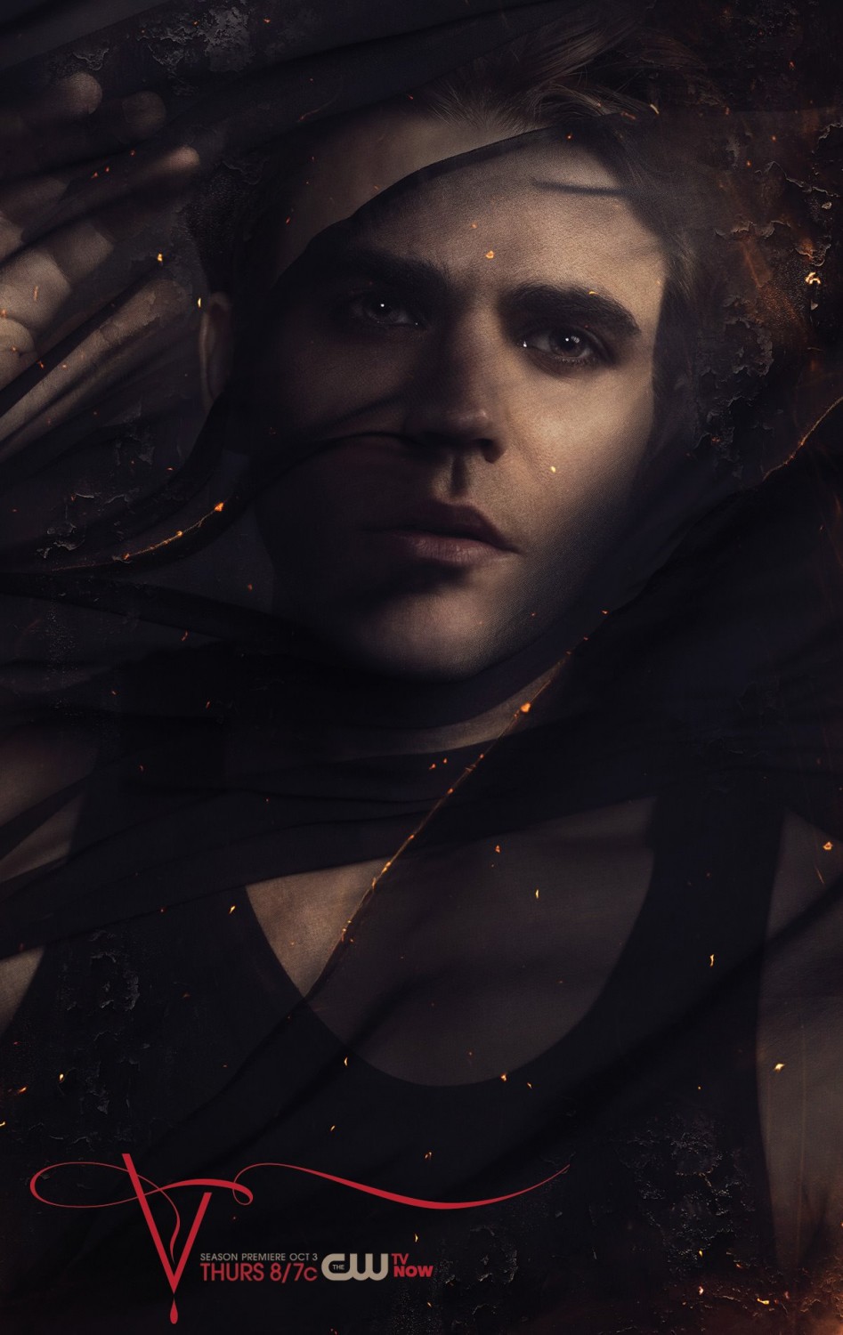 vampire diaries season 5 poster