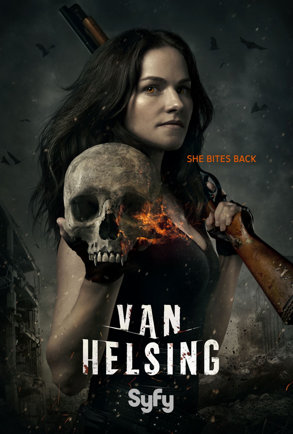 Extra Large TV Poster Image for Van Helsing (#1 of 4)