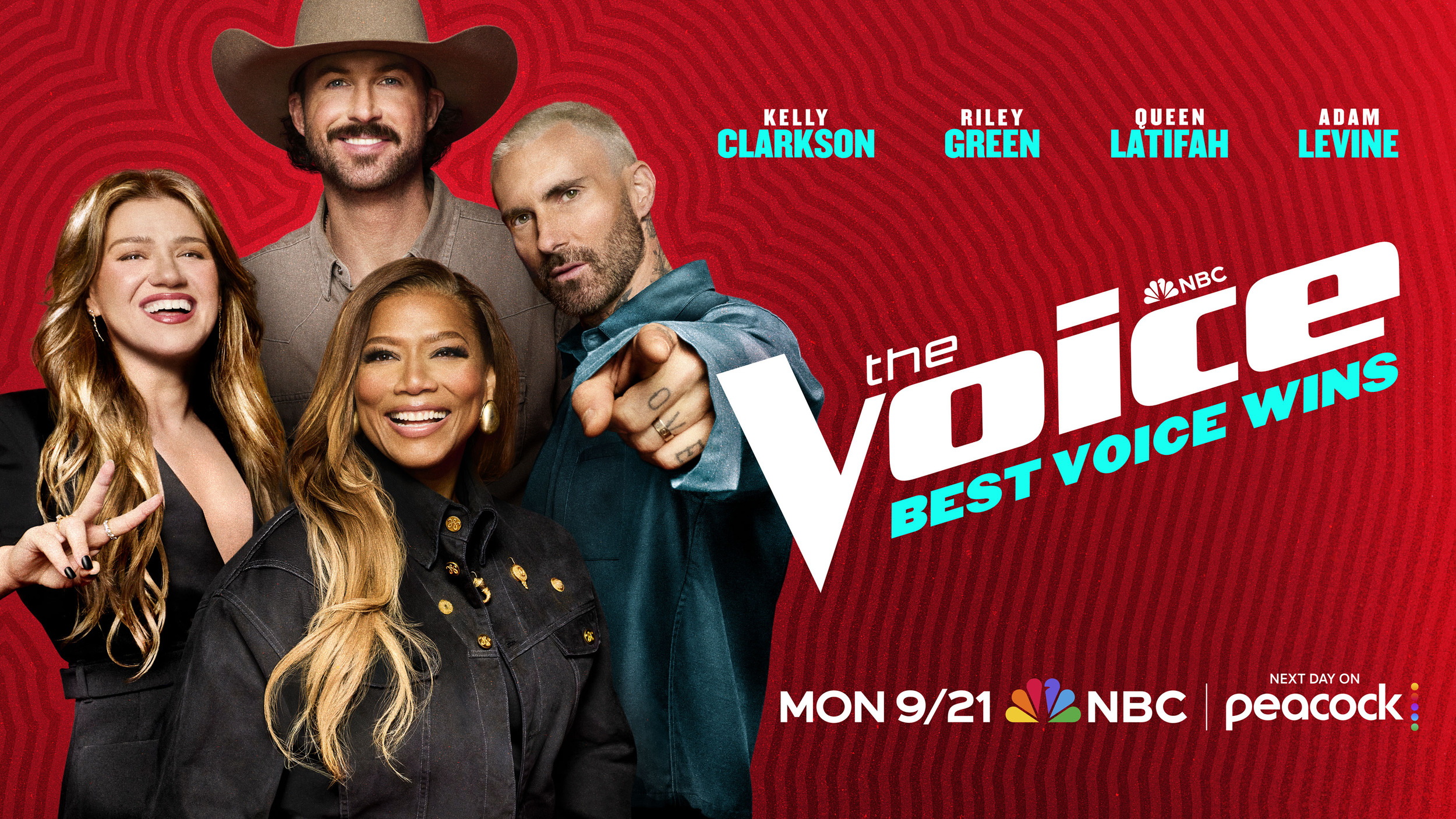 Mega Sized TV Poster Image for The Voice (#15 of 15)