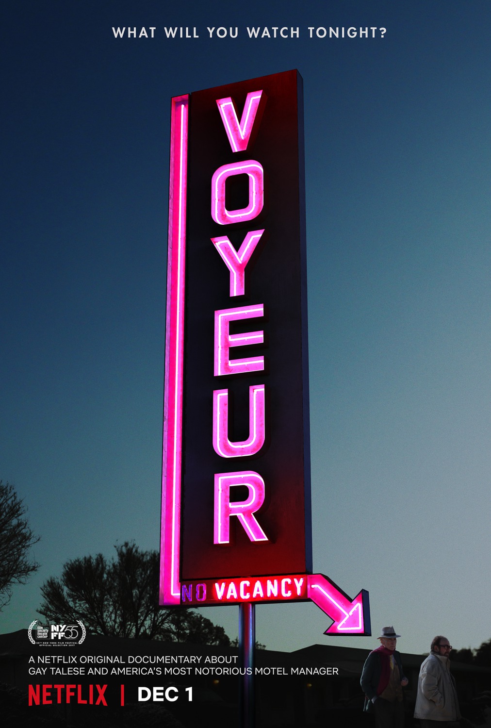 Extra Large TV Poster Image for Voyeur 