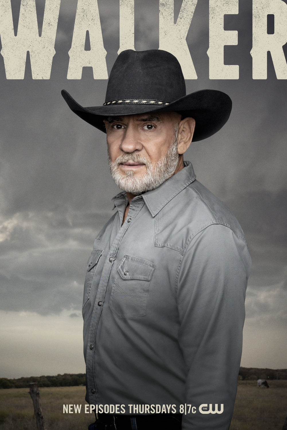 Extra Large TV Poster Image for Walker (#10 of 15)