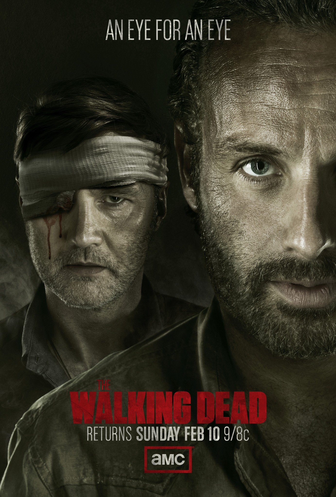 Mega Sized TV Poster Image for The Walking Dead (#13 of 67)