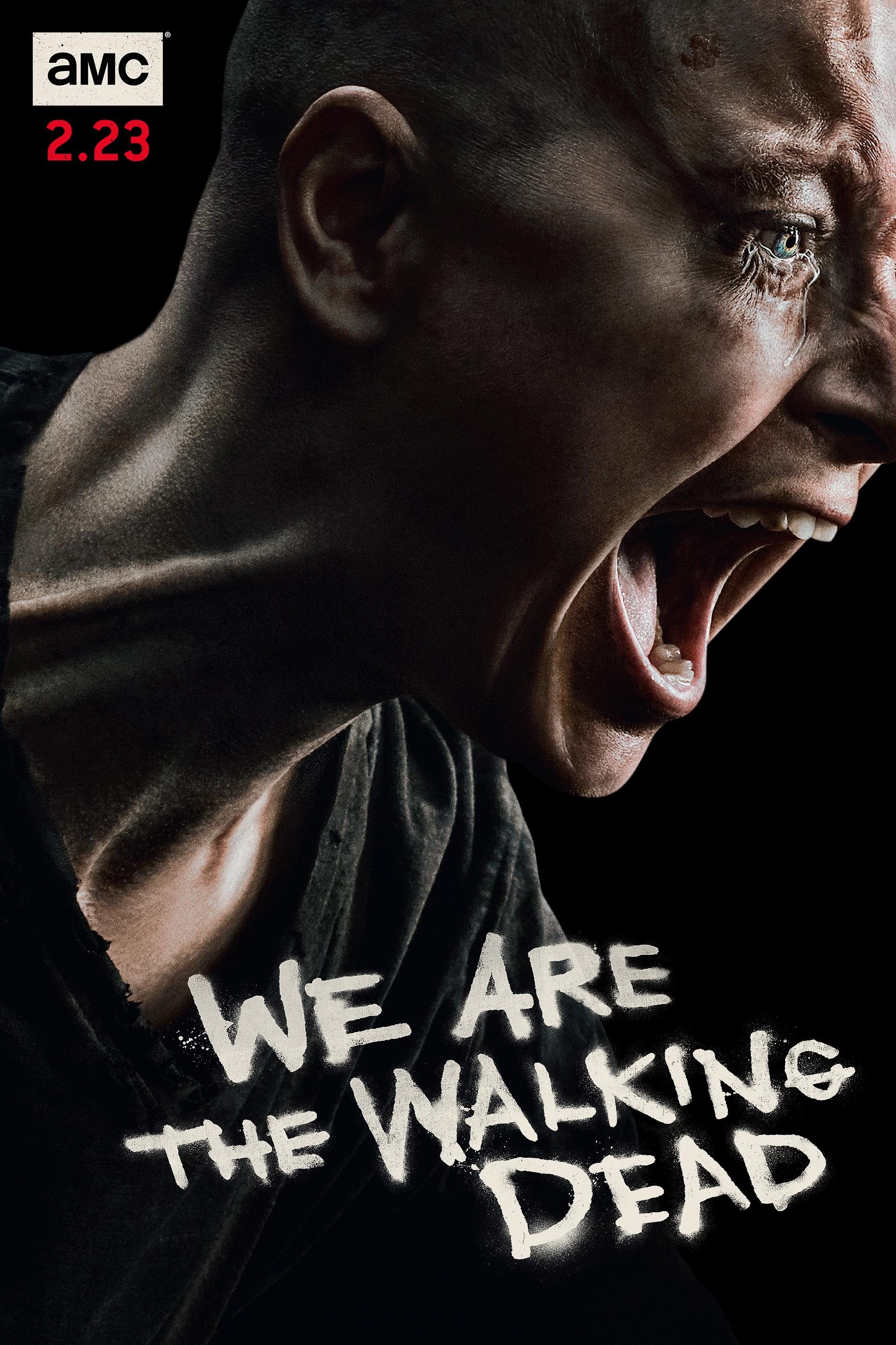 Mega Sized TV Poster Image for The Walking Dead (#60 of 67)