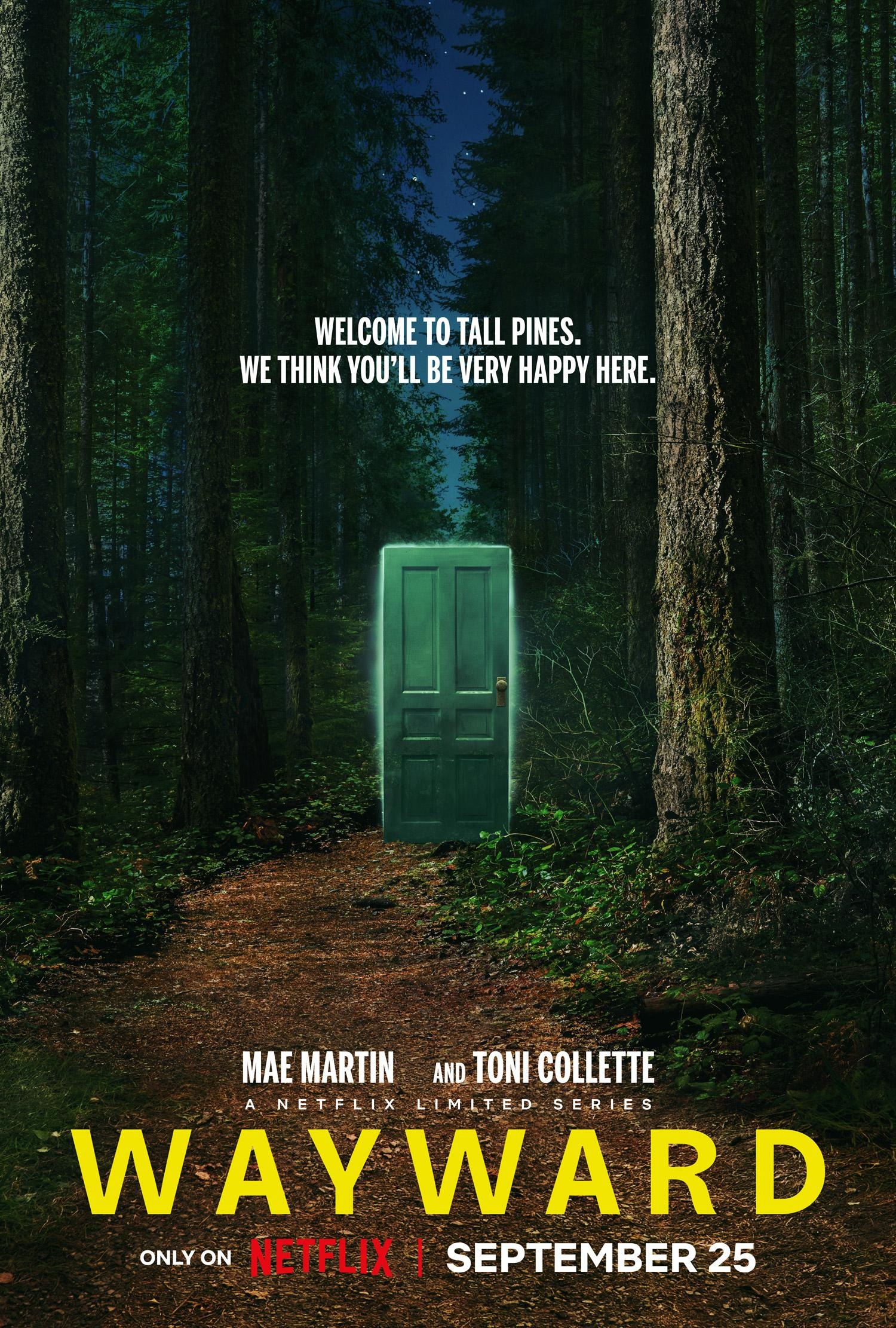 Mega Sized TV Poster Image for Wayward (#1 of 2)