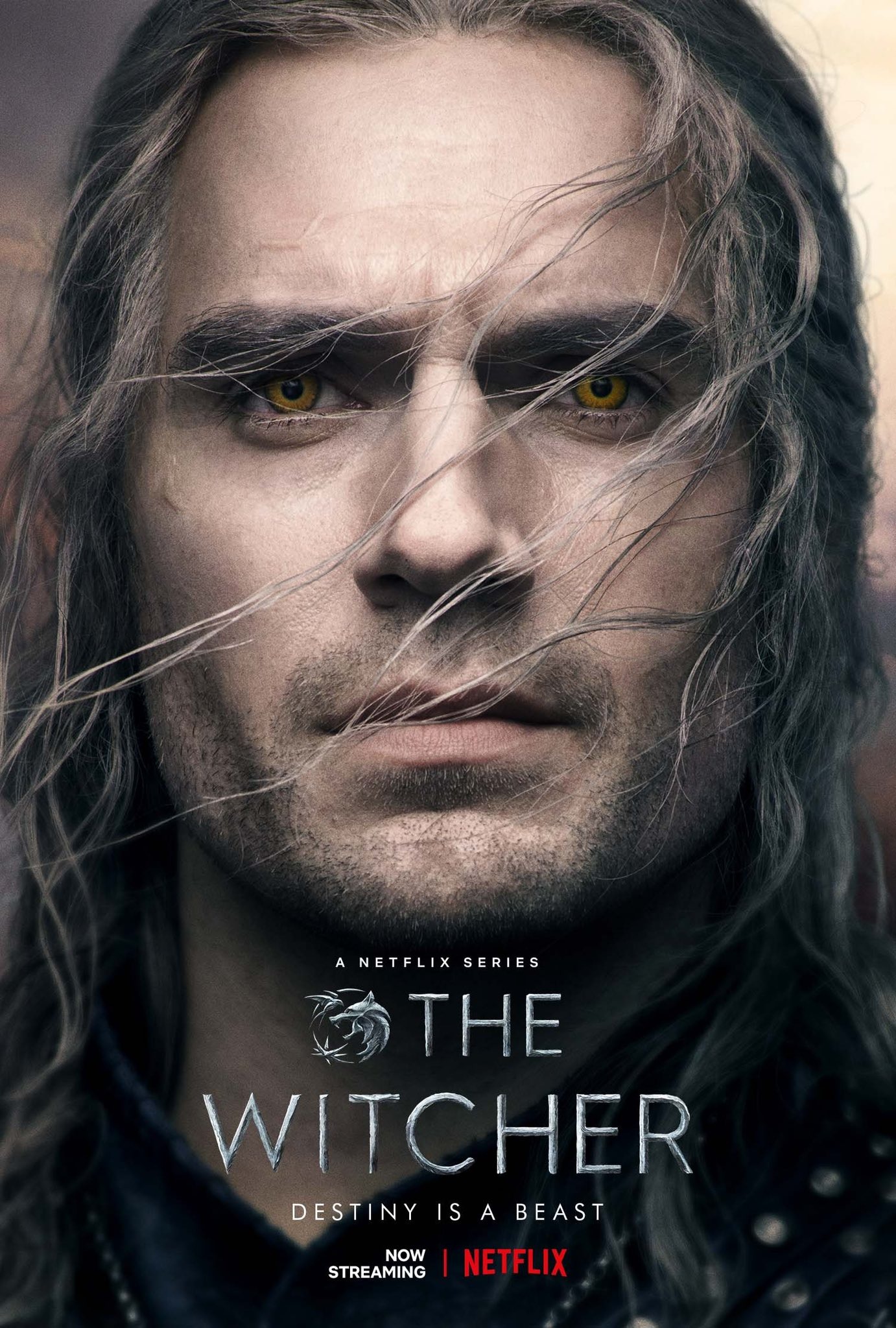Mega Sized TV Poster Image for The Witcher (#13 of 23)