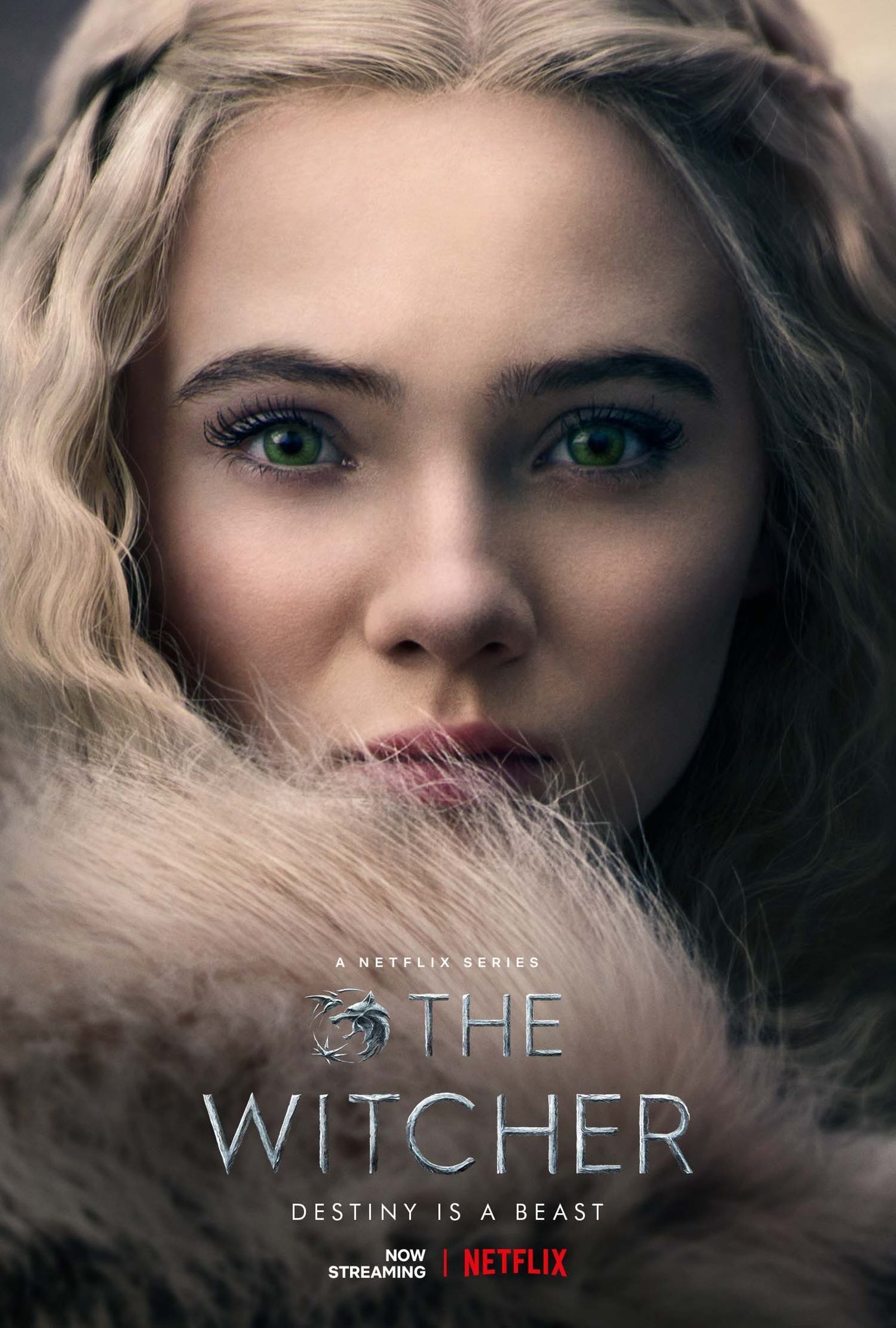 Mega Sized TV Poster Image for The Witcher (#14 of 23)