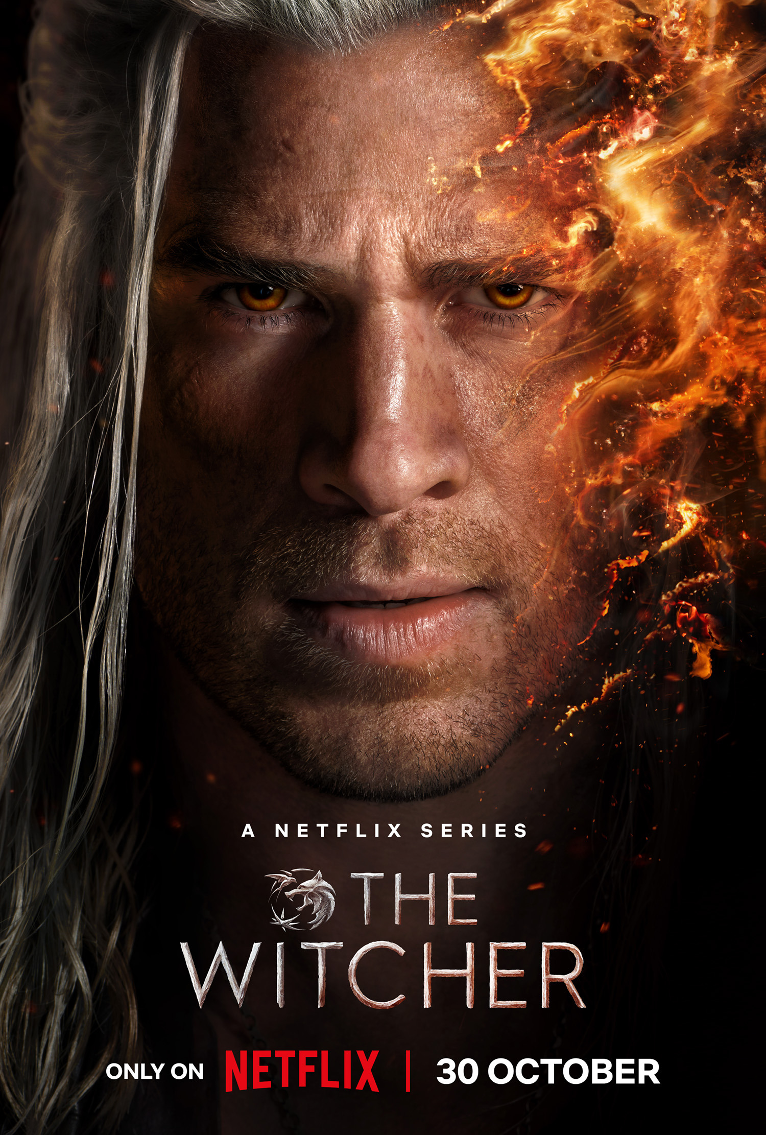 Mega Sized TV Poster Image for The Witcher (#24 of 28)