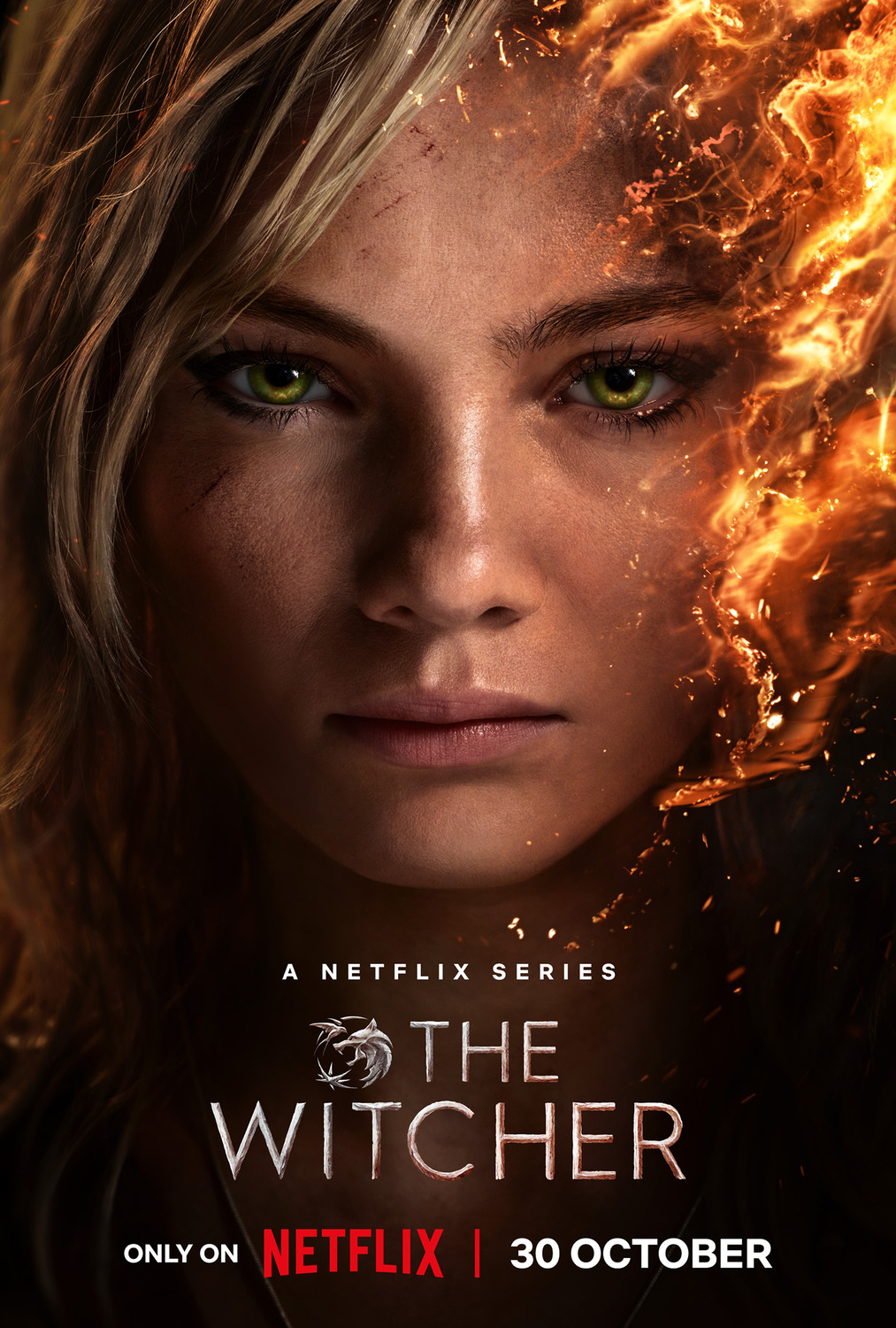 Extra Large TV Poster Image for The Witcher (#25 of 28)