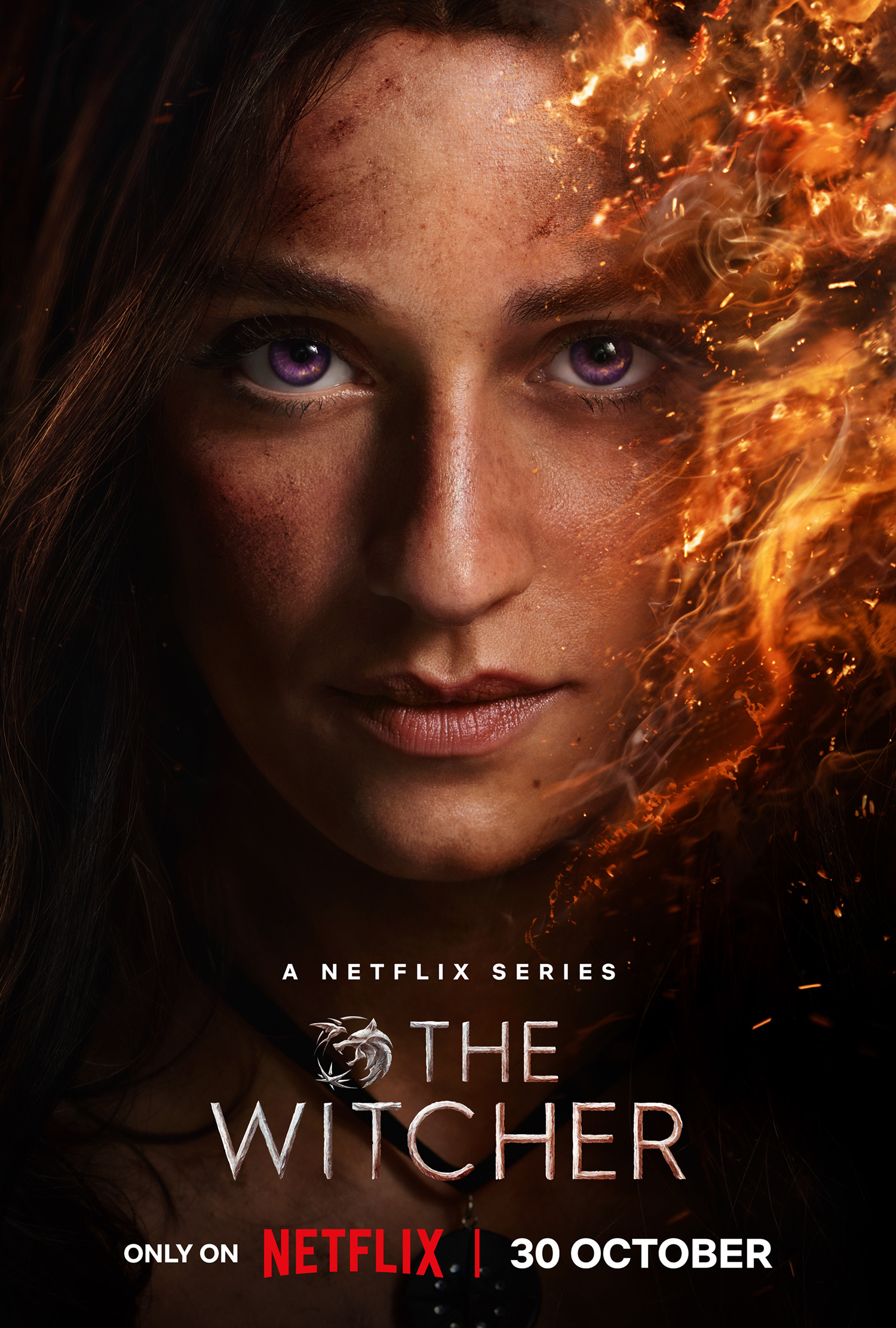 Mega Sized TV Poster Image for The Witcher (#28 of 28)