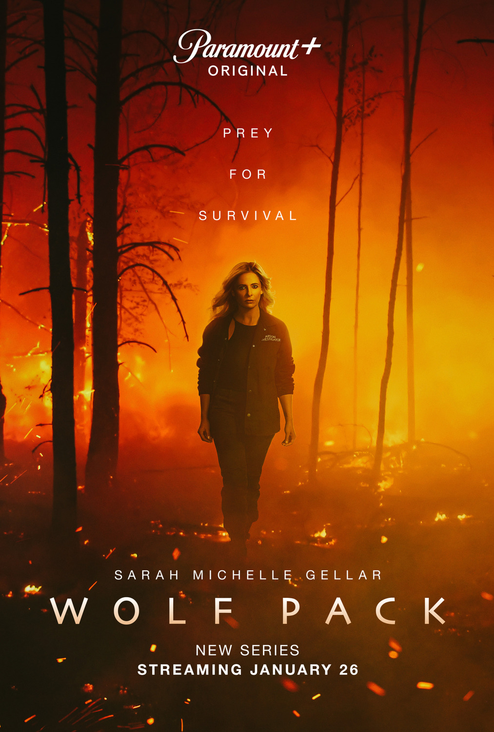 Extra Large TV Poster Image for Wolf Pack (#1 of 7)