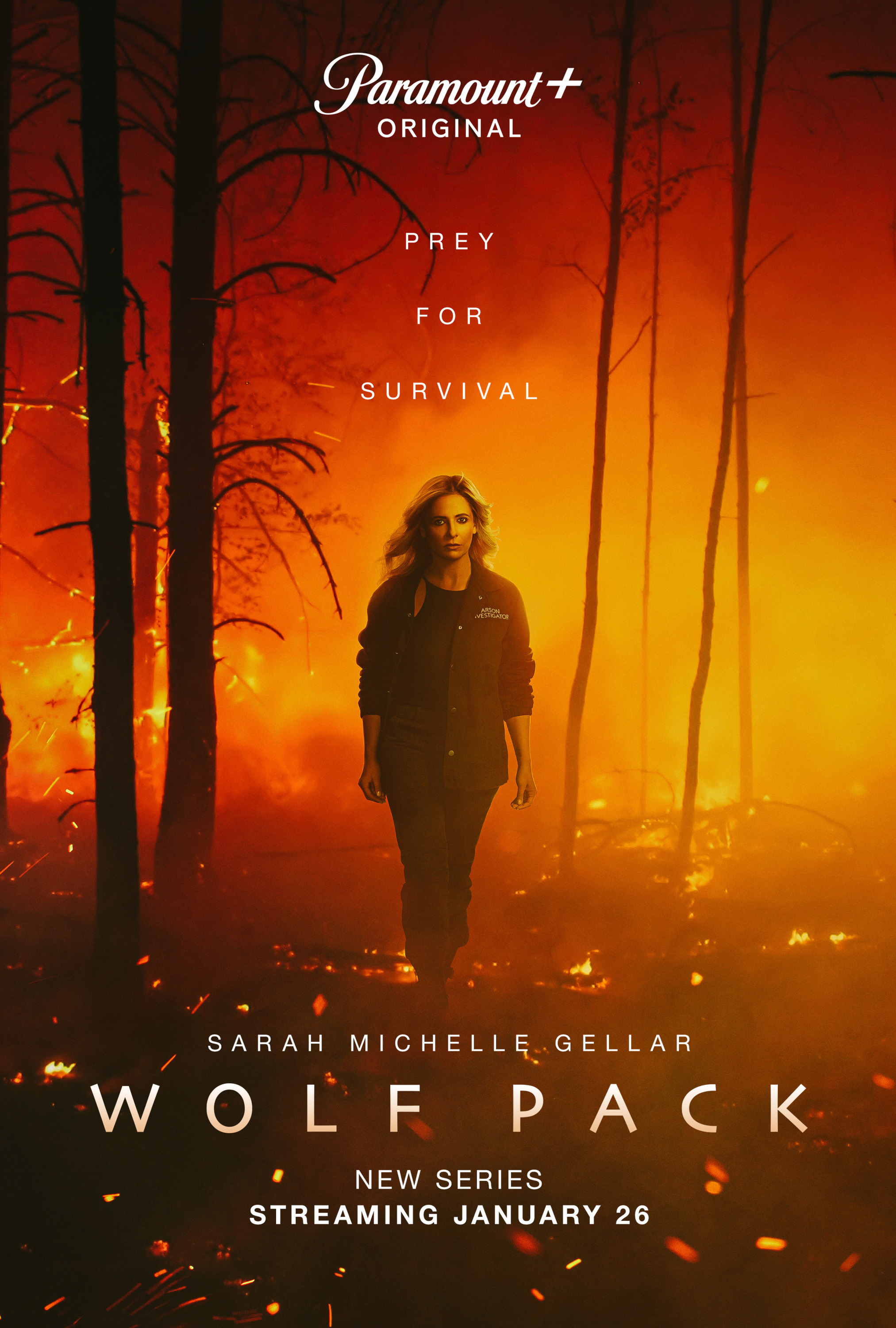 Mega Sized TV Poster Image for Wolf Pack (#1 of 7)