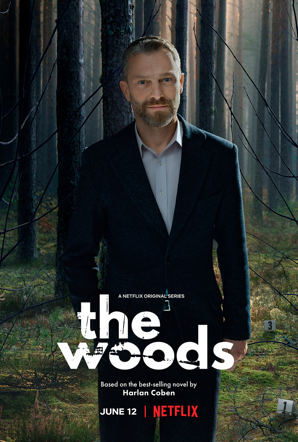 Extra Large TV Poster Image for The Woods (#2 of 5)
