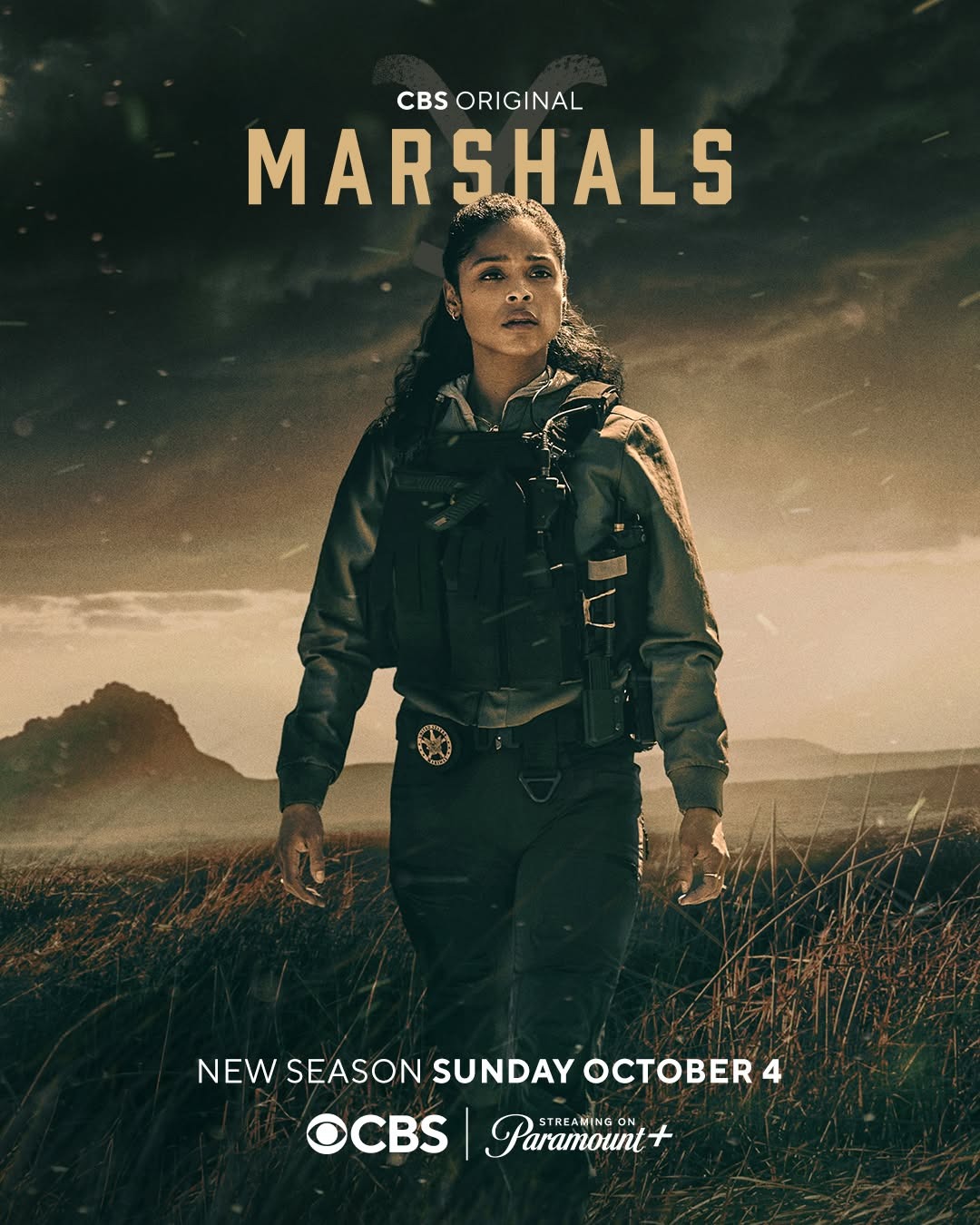 Extra Large TV Poster Image for Y: Marshals (#14 of 18)