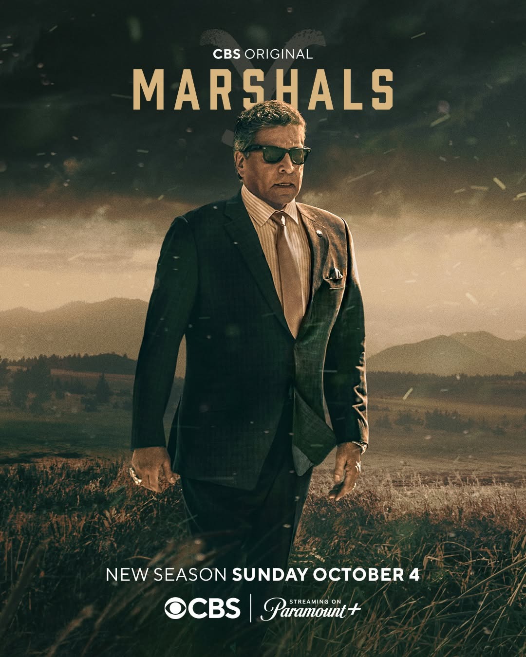 Extra Large TV Poster Image for Y: Marshals (#15 of 18)