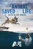 An Animal Saved My Life  Thumbnail