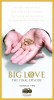 Big Love  Thumbnail