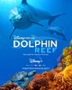 Dolphin Reef  Thumbnail