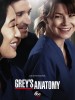 Grey's Anatomy  Thumbnail