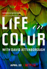 Life in Color  Thumbnail