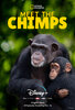 Meet the Chimps  Thumbnail