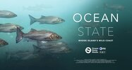 Ocean State: Rhode Island's Wild Coast  Thumbnail