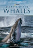 Secrets of the Whales  Thumbnail