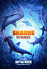 Sharks in Paradise  Thumbnail
