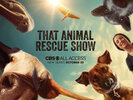 That Animal Rescue Show  Thumbnail